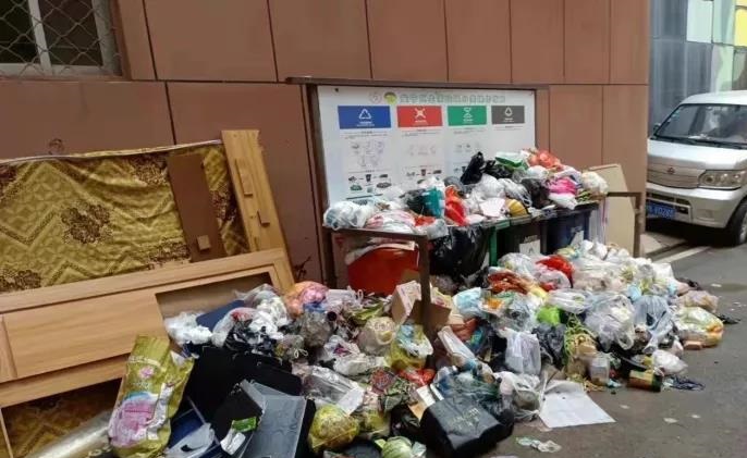 最新調研表明：垃圾分類工作取得實質性成效，但前端分類投放痛點仍普遍存在